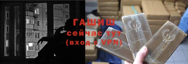 гидра Богданович