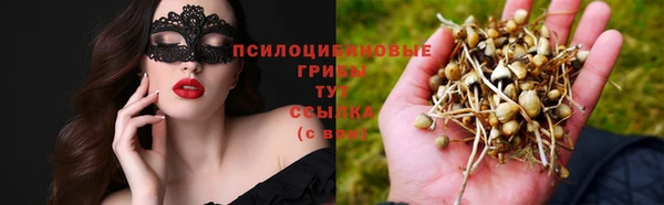 гидра Богданович