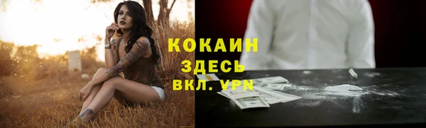гидра Богданович