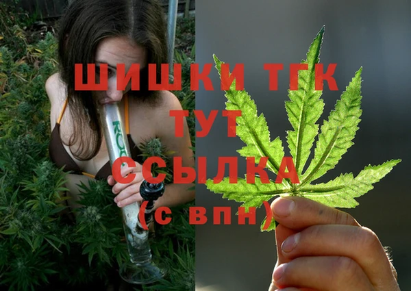 бошки Богородицк