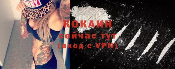 гидра Богданович