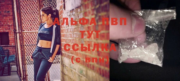 гидра Богданович