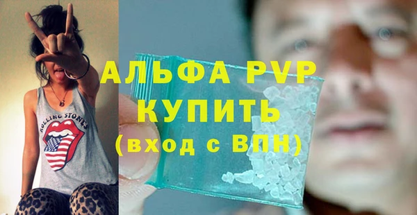 гидра Богданович