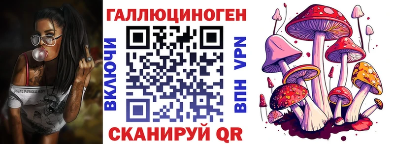 Псилоцибиновые грибы Psilocybine cubensis  Микунь 