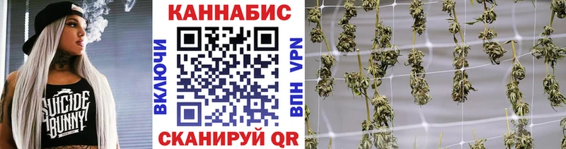 Бошки марихуана Amnesia  Микунь 
